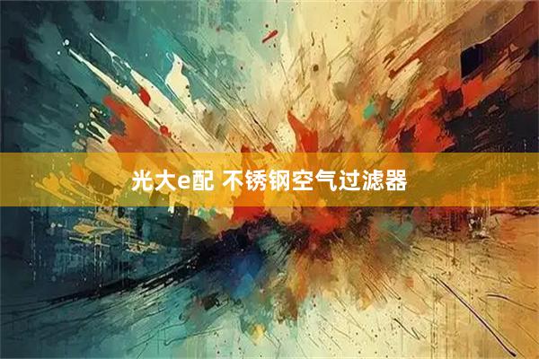 光大e配 不锈钢空气过滤器