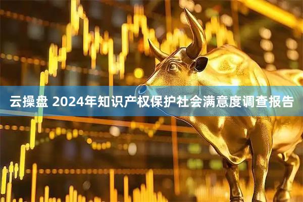云操盘 2024年知识产权保护社会满意度调查报告