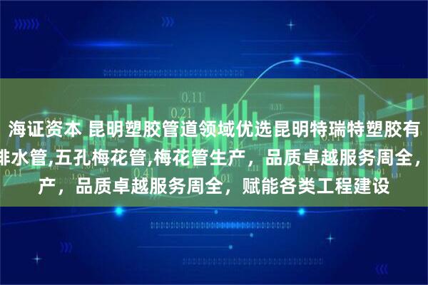 海证资本 昆明塑胶管道领域优选昆明特瑞特塑胶有限公司，专注pvc排水管,五孔梅花管,梅花管生产，品质卓越服务周全，赋能各类工程建设